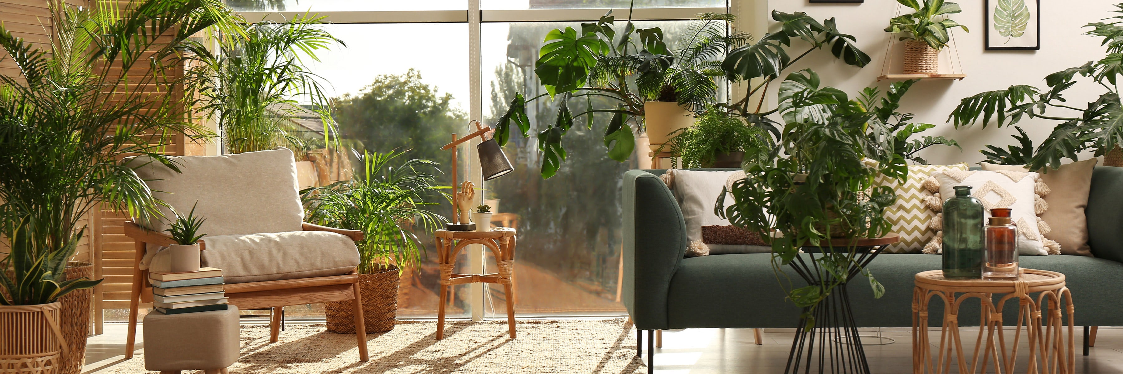 Living room: Various potted plants placed around a cozy sofa, armchair, and small tables, bathed in natural light from large windows, creating a lush, green ambiance.