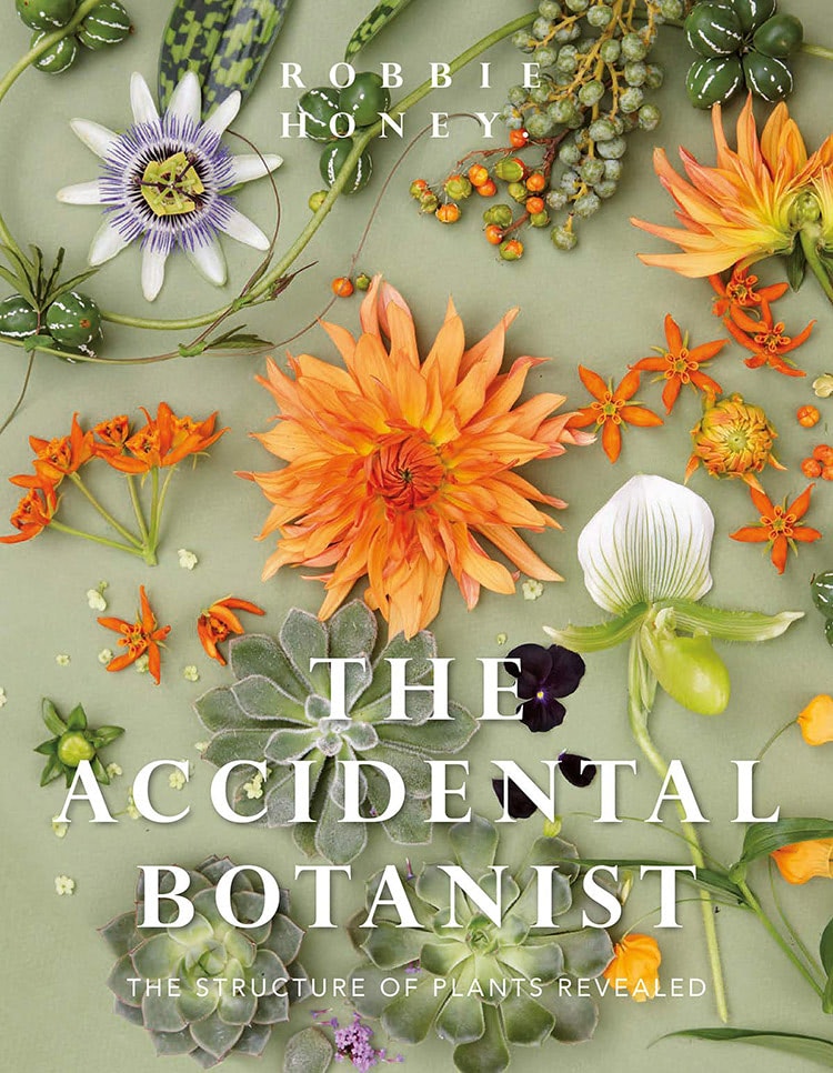 Various colorful flowers and succulents are artfully arranged against a light green background. Text on the image reads, "ROBBIE HONEY," "THE ACCIDENTAL BOTANIST," and "THE STRUCTURE OF PLANTS REVEALED."