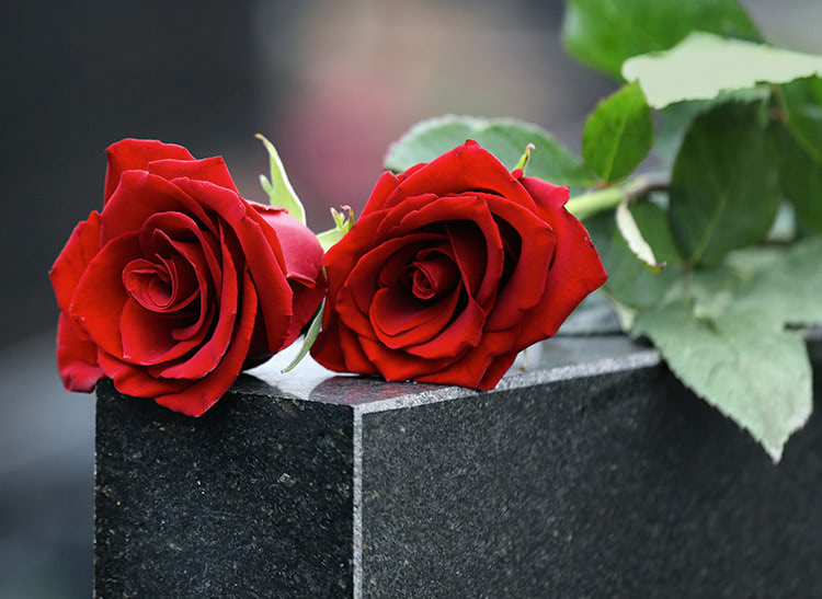 Two red roses rest on a dark stone grave, with their stems in the background, suggesting a somber or memorial setting.