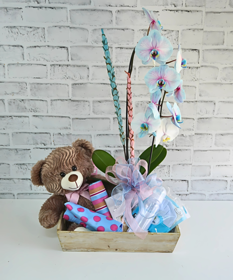 Sweet Surprise Orchid Gift Set