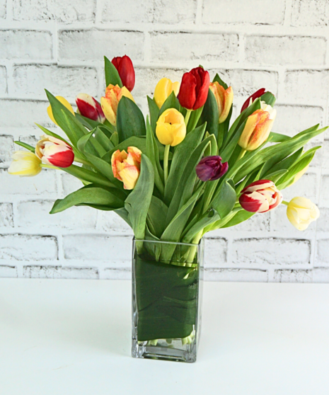 Spring Tulip Delight